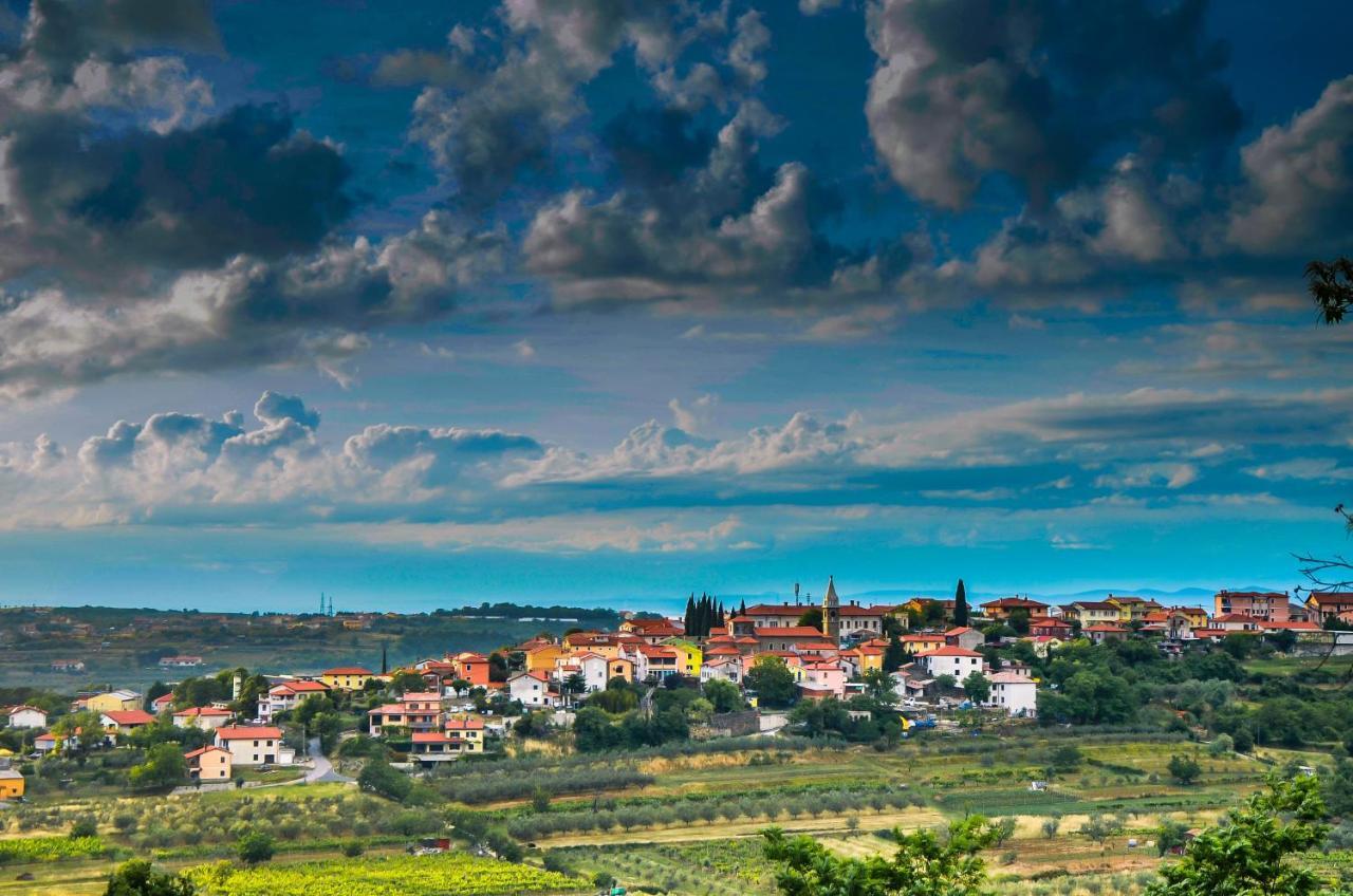 Wine & Apartment Vinales Копер Екстериор снимка