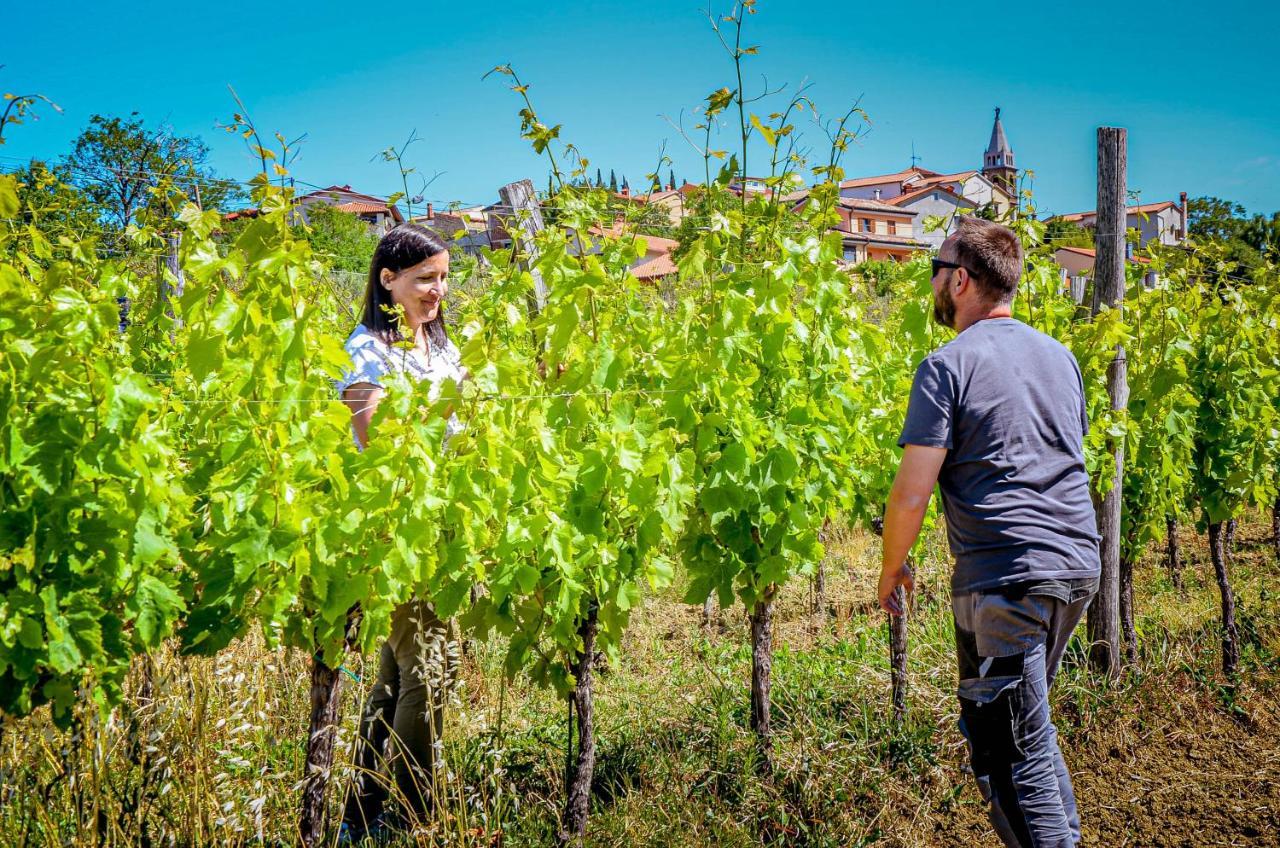 Wine & Apartment Vinales Копер Екстериор снимка